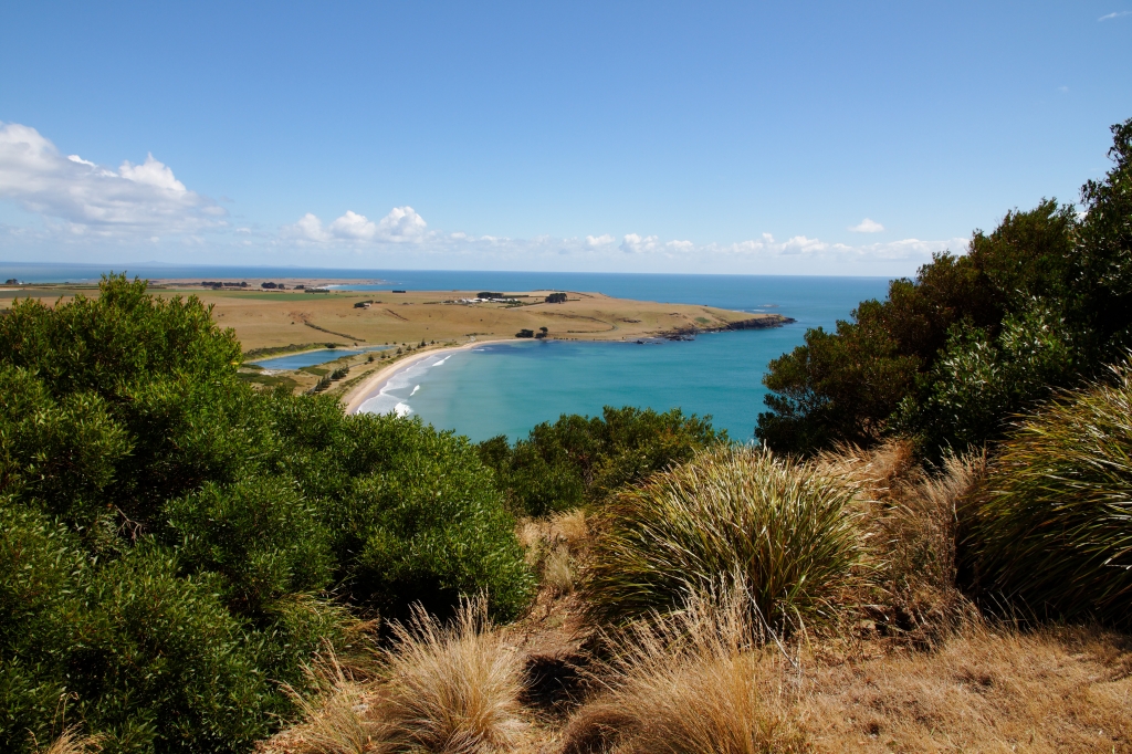 21 - The Nut (2).jpg